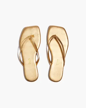 Square Toe Lily - Blink