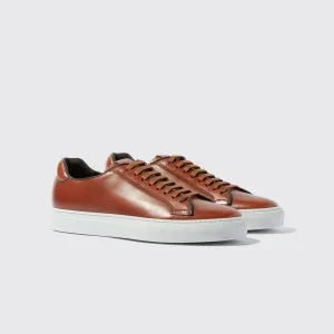 Tan Leather Logan Lace Up Sneakers - AW24